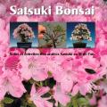Satsuki bonsai janine droste